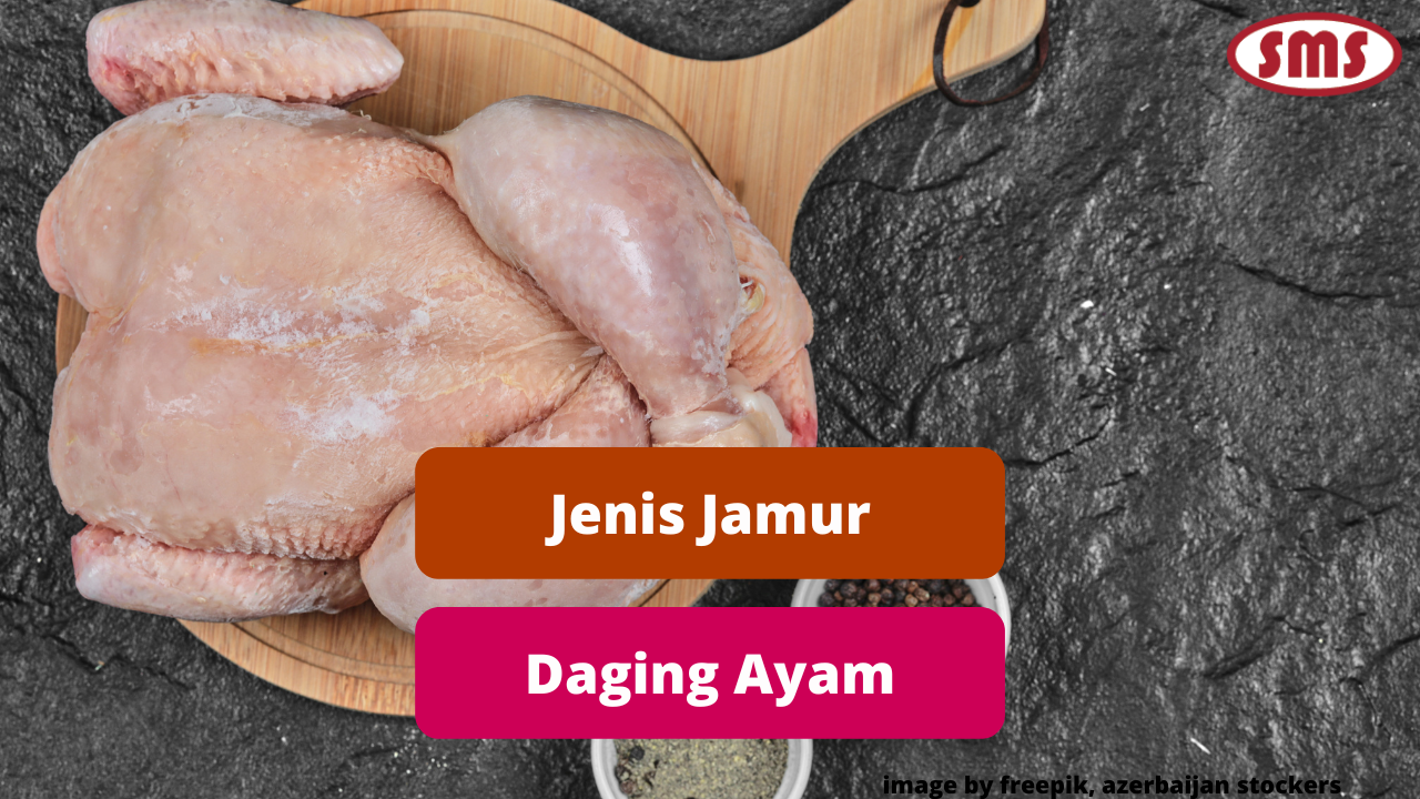 Kenali Beragam Jamur Yang Dapat Timbul Pada Daging Ayam